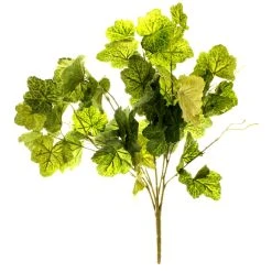 Flash Sale ✔️ 10 Pack: Coral Bell Bush by Ashland® 😍