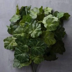 Flash Sale ✔️ 10 Pack: Coral Bell Bush by Ashland® 😍 -Ashland Shop MP129104 25