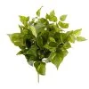 Hot Sale 😍 12 Pack: Pothos Bush by Ashland® Real Touch™ 🌟 -Ashland Shop MP131108 1