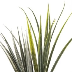 Budget 🛒 24 Pack: Assorted Wild Grass Bush by Ashland® ⭐ -Ashland Shop MP133407 20