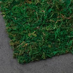 Brand new 🎁 12 Pack: Moss Table Runner by Ashland® ⭐ -Ashland Shop MP135021 21