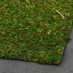 Wholesale ✔️ 12 Pack: Moss Mat by Ashland® ⌛ -Ashland Shop MP135027 21