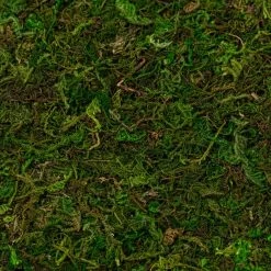Wholesale ✔️ 12 Pack: Moss Mat by Ashland® ⌛ -Ashland Shop MP135027 22