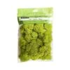 Flash Sale ⌛ 12 Pack: Reindeer Moss by Ashland® ✨