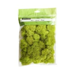 Flash Sale ⌛ 12 Pack: Reindeer Moss by Ashland® ✨
