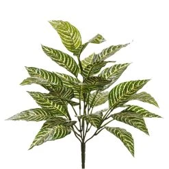 Best Pirce 💯 8 Pack: Green Zebra Bush by Ashland® 🌟