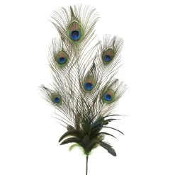 Best deal 👏 12 Pack: Peacock Feather Pick by Ashland® 👍