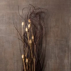 Best Pirce 👍 8 Pack: Dried Lagurus Floral Bouquet by Ashland® ✔️ -Ashland Shop MP153486 25