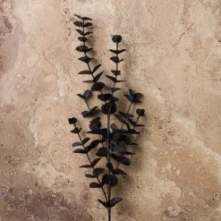 Promo ⌛ 12 Pack: Black Eucalyptus Spray by Ashland® ❤️ -Ashland Shop MP158724 22