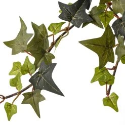 Hot Sale ⌛ 12 Pack: Star Ivy Bush by Ashland® ✔️ 9 Hot Sale ⌛ 12 Pack: Star Ivy Bush by Ashland® ✔️ -Ashland Shop MP194917 20