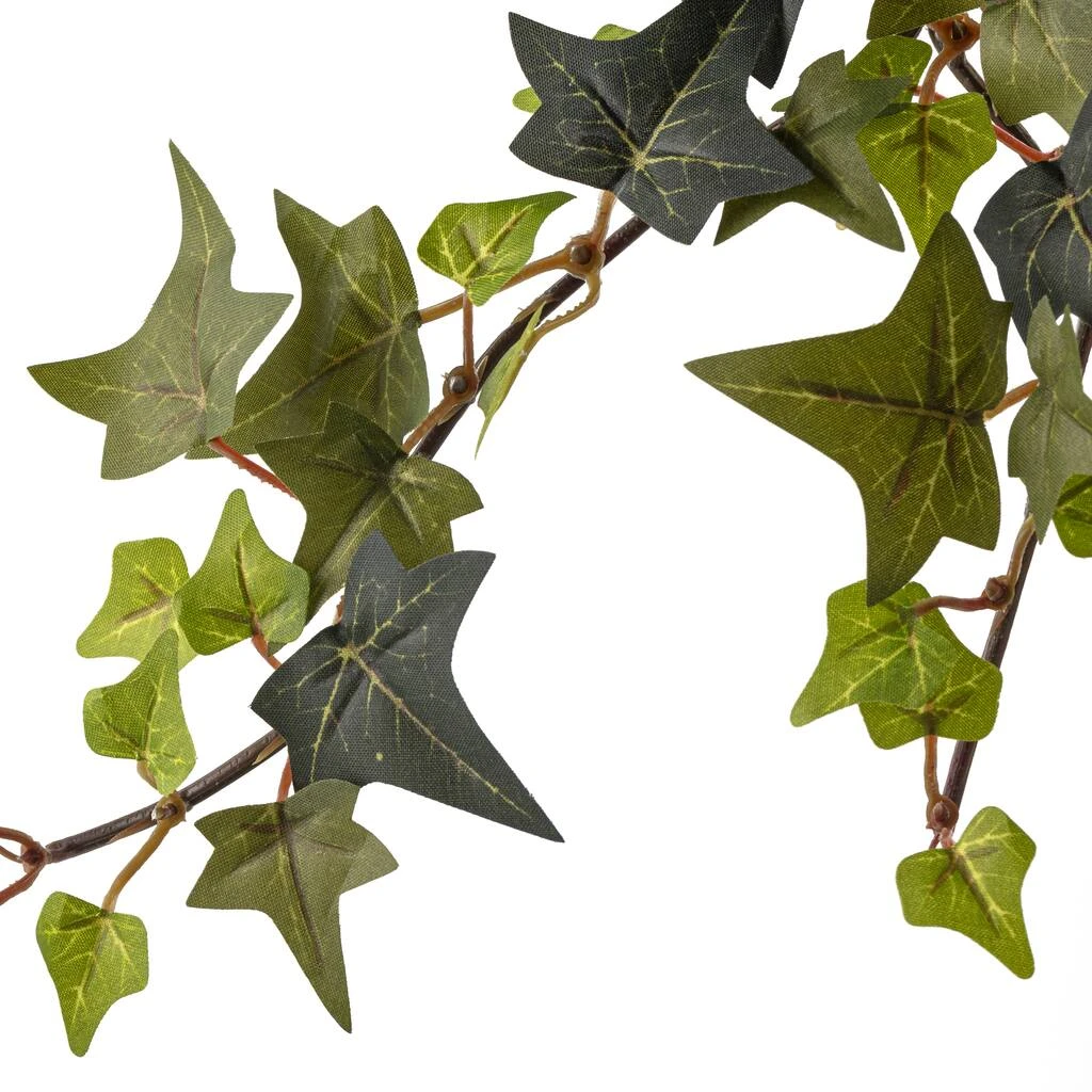 Hot Sale ⌛ 12 Pack: Star Ivy Bush by Ashland® ✔️ 6 Hot Sale ⌛ 12 Pack: Star Ivy Bush by Ashland® ✔️ - Image 4