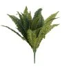 Buy 🔔 12 Pack: Boston Fern Bush by Ashland® ⭐ -Ashland Shop MP194922