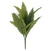 Best Sale 🌟 12 Pack: Green Boston Fern Bush by Ashland® ✨ -Ashland Shop MP194924 1