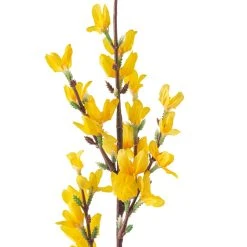 Top 10 😀 12 Pack: Yellow Forsythia Branch Spray by Ashland® 😀 -Ashland Shop MP205308 20