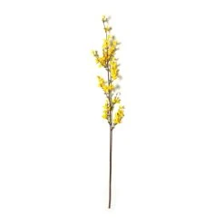 Top 10 😀 12 Pack: Yellow Forsythia Branch Spray by Ashland® 😀 -Ashland Shop MP205308 21