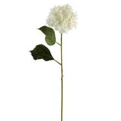 Best reviews of 🛒 12 Pack: White Hydrangea Spray by Ashland® ✔️