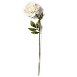 Cheap ⭐ 12 Pack: Cream Pearled Peony Stem by Ashland® 😉 -Ashland Shop MP213485 21