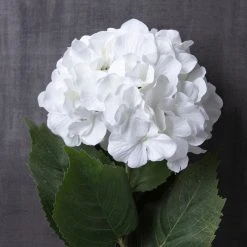 Outlet 😉 12 Pack: Classic Traditions™ White Hydrangea Stem by Ashland® ✨ -Ashland Shop MP213498 22