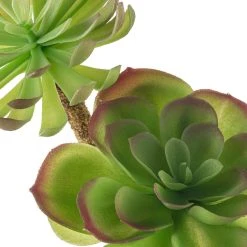 Budget β 12 Pack: Assorted Red Tipped Succulent Pick by Ashland® π 16 Budget β 12 Pack: Assorted Red Tipped Succulent Pick by Ashland® π -Ashland Shop MP229986 20