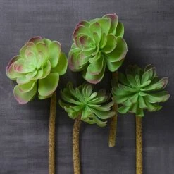 Budget β 12 Pack: Assorted Red Tipped Succulent Pick by Ashland® π 15 Budget β 12 Pack: Assorted Red Tipped Succulent Pick by Ashland® π -Ashland Shop MP229986 22