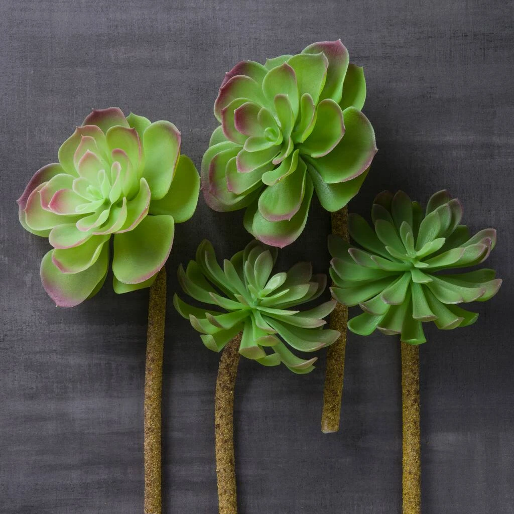 Budget β 12 Pack: Assorted Red Tipped Succulent Pick by Ashland® π 8 Budget β 12 Pack: Assorted Red Tipped Succulent Pick by Ashland® π - Image 6