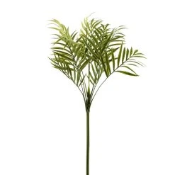 Top 10 🔔 12 Pack: Green Palm Spray by Ashland® 🎁