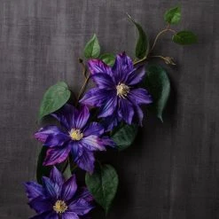 Cheapest 🤩 12 Pack: Purple Clematis Stem by Ashland® ✨ -Ashland Shop MP230902 22