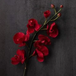 Best Pirce ✨ 6 Pack: Red Orchid Stem by Ashland® ❤️ -Ashland Shop MP230911 22