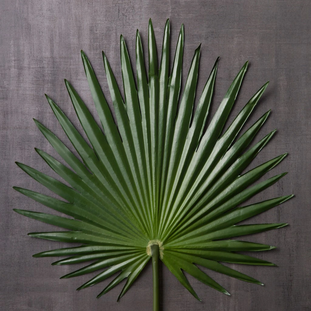 Flash Sale ✔️ 6 Pack: Green Fan Palm Stem by Ashland® ✔️ 6 Flash Sale ✔️ 6 Pack: Green Fan Palm Stem by Ashland® ✔️ - Image 4