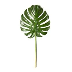 Budget 💯 6 Pack: Green Monstera Leaf Stem by Ashland® 👏 -Ashland Shop MP230926 21