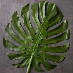 Budget 💯 6 Pack: Green Monstera Leaf Stem by Ashland® 👏 -Ashland Shop MP230926 22