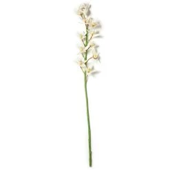 Deals 🥰 8 Pack: Cream Boat Orchid Stem by Ashland® 🥰 -Ashland Shop MP230929 21