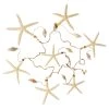 Best reviews of ⭐ 6 Pack: Starfish & Shells Garland by Ashland® ❤️