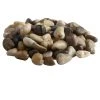 Flash Sale 🤩 5 Pack: Mini River Pebbles by Ashland® ✔️ -Ashland Shop MP233104 1