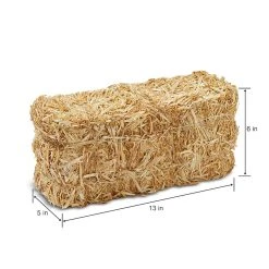 Deals ❤️ 12 Pack: 13" Decorative Straw Bale by Ashland® ⌛ -Ashland Shop MP234532 2