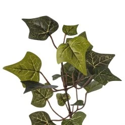 Cheap 🥰 24 Pack: Floral Essentials English Ivy Spray by Ashland® ⭐ -Ashland Shop MP239706 20