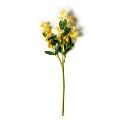 Flash Sale ✔️ 12 Pack: Gold Double Baby's Breath Stem by Ashland® ⭐ -Ashland Shop MP240091 21