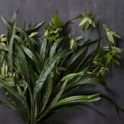 Ashland Shop -Ashland Shop MP240812 20