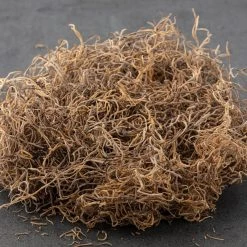 Best deal ✔️ 16 Pack: Natural Spanish Moss by Ashland® ✨ -Ashland Shop MP254250 21