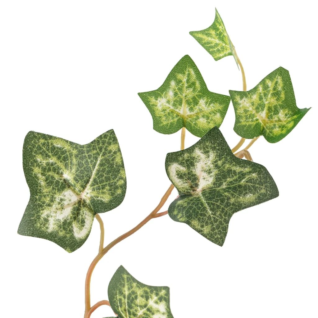 Discount 👍 12 Pack: Green Silk Ivy Spray by Ashland® ⭐ 5 Discount 👍 12 Pack: Green Silk Ivy Spray by Ashland® ⭐ - Image 3