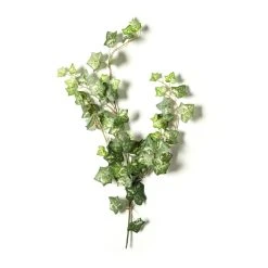 Discount 👍 12 Pack: Green Silk Ivy Spray by Ashland® ⭐ 10 Discount 👍 12 Pack: Green Silk Ivy Spray by Ashland® ⭐ -Ashland Shop MP262975 21