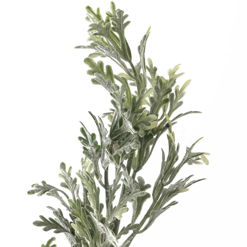 Discount ⌛ 16 Pack: Dusty Miller Stem by Ashland® 😍 6 Discount ⌛ 16 Pack: Dusty Miller Stem by Ashland® 😍 - Image 4