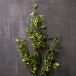 New ⌛ 12 Pack: Green Sinojackia Leaf Spray by Ashland® ✔️ -Ashland Shop MP263000 22