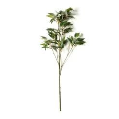 Best Sale 🎉 12 Pack: Green Osmanthus Stem by Ashland® 🛒 -Ashland Shop MP263723 21
