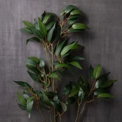 Best Sale 🎉 12 Pack: Green Osmanthus Stem by Ashland® 🛒 -Ashland Shop MP263723 22