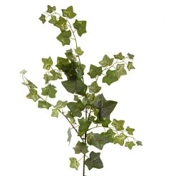 Cheap ✨ 12 Pack: Green English Ivy Spray by Ashland® 🥰