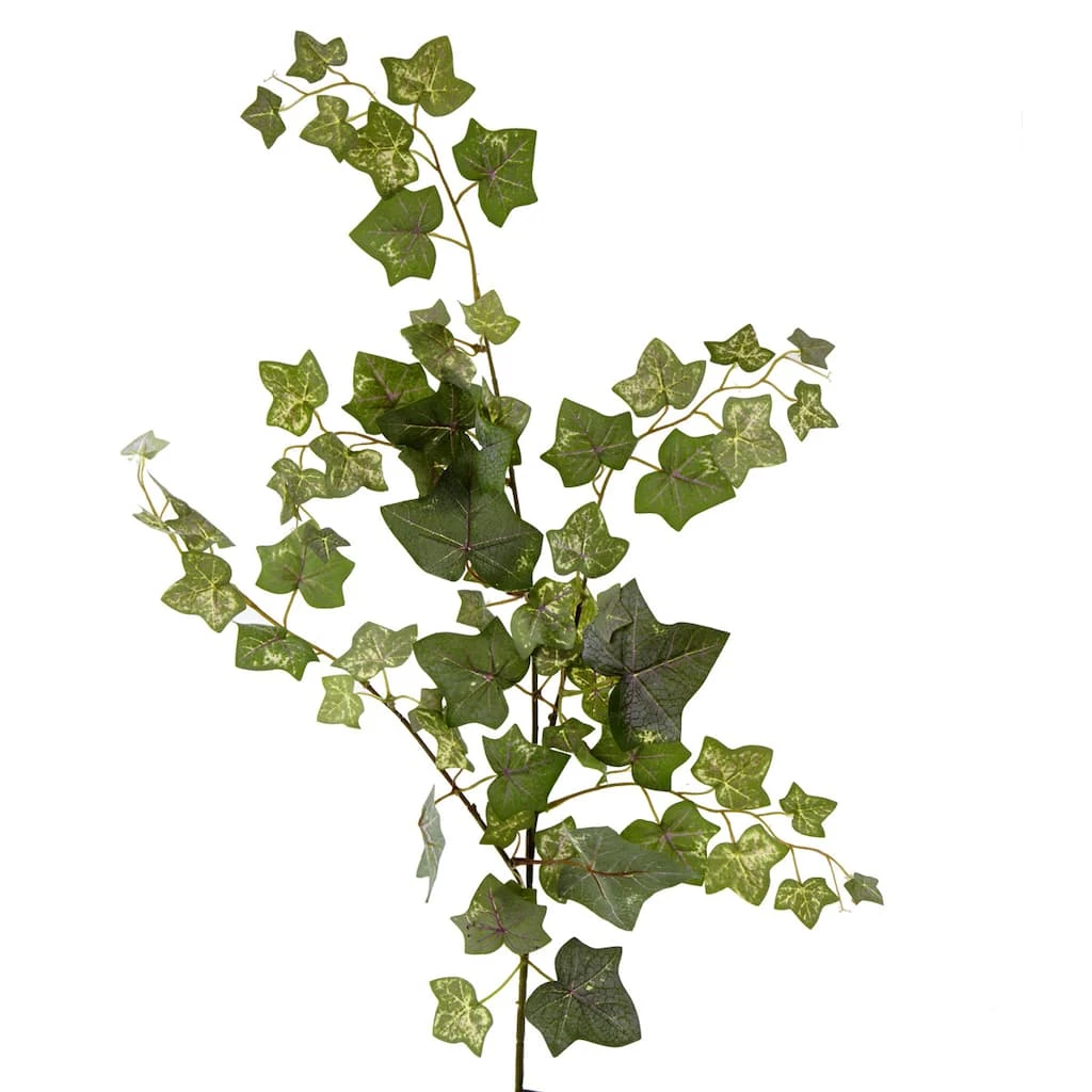 Cheap ✨ 12 Pack: Green English Ivy Spray by Ashland® 🥰 3 Cheap ✨ 12 Pack: Green English Ivy Spray by Ashland® 🥰