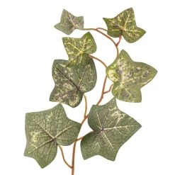 Cheap ✨ 12 Pack: Green English Ivy Spray by Ashland® 🥰 8 Cheap ✨ 12 Pack: Green English Ivy Spray by Ashland® 🥰 -Ashland Shop MP265880 20