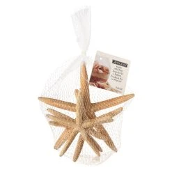 Best deal 😀 6 Packs: 4 ct. (24 total) White Glitter Starfish by Ashland® 😍 -Ashland Shop MP276723 30