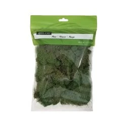 Wholesale 😀 12 Pack: Basil Green Reindeer Moss by Ashland® 🤩